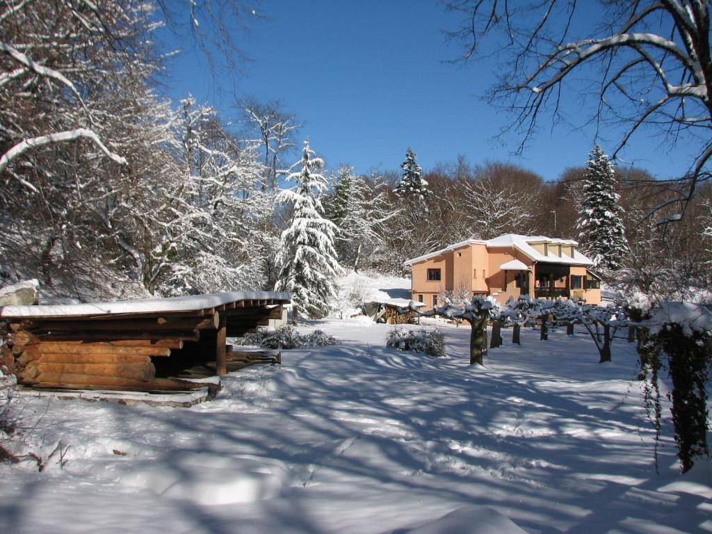 Bed & Breakfast Pyrenees Emotions, Eco-responsables, Nature, Sports Aventures